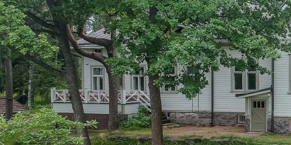 homeenpoistoaine puulle