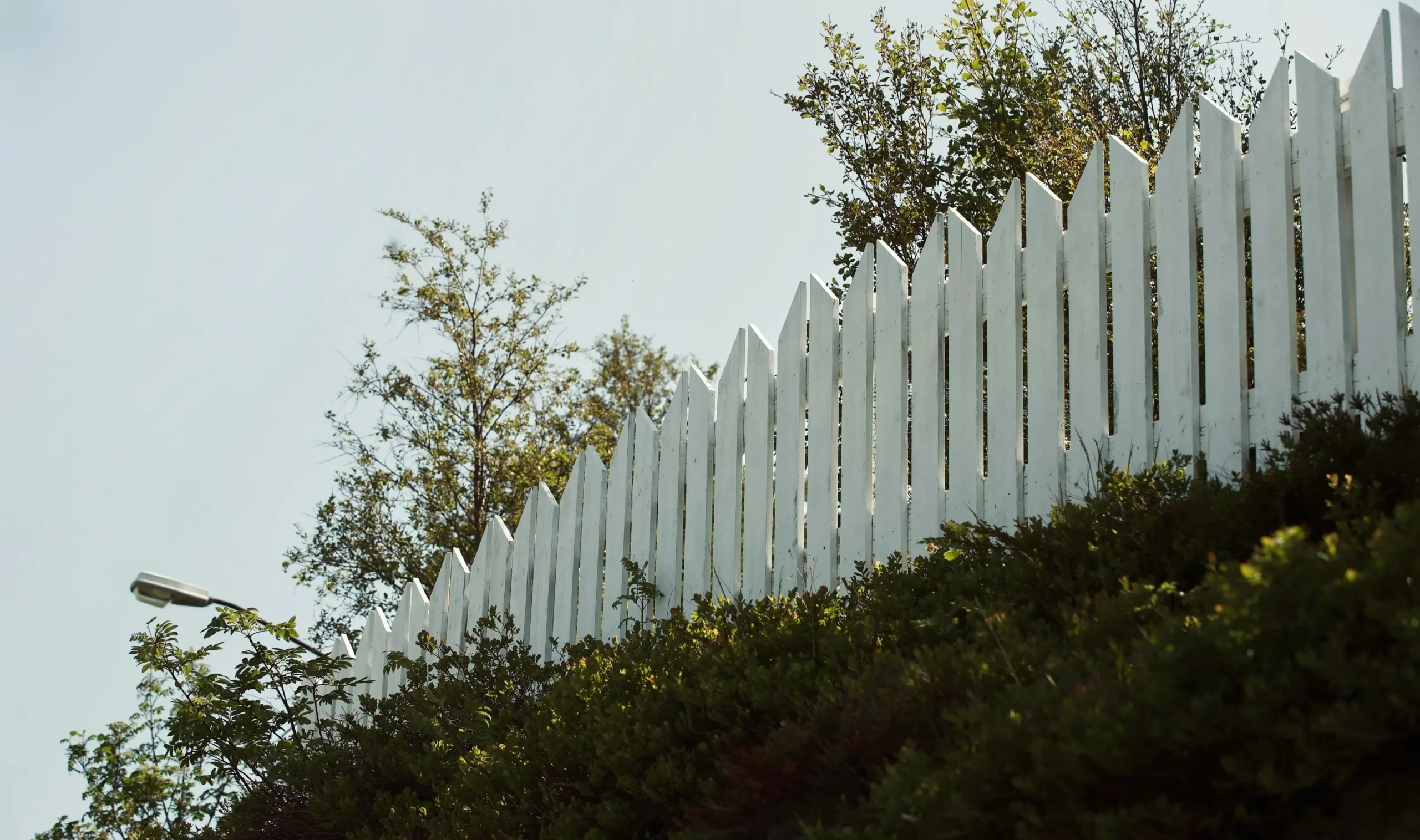 Fence painting, carefully painted fence
