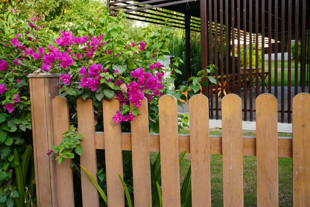 Unpainted fence in the settlement area - painting is an easy way to upgrade the look of the yard