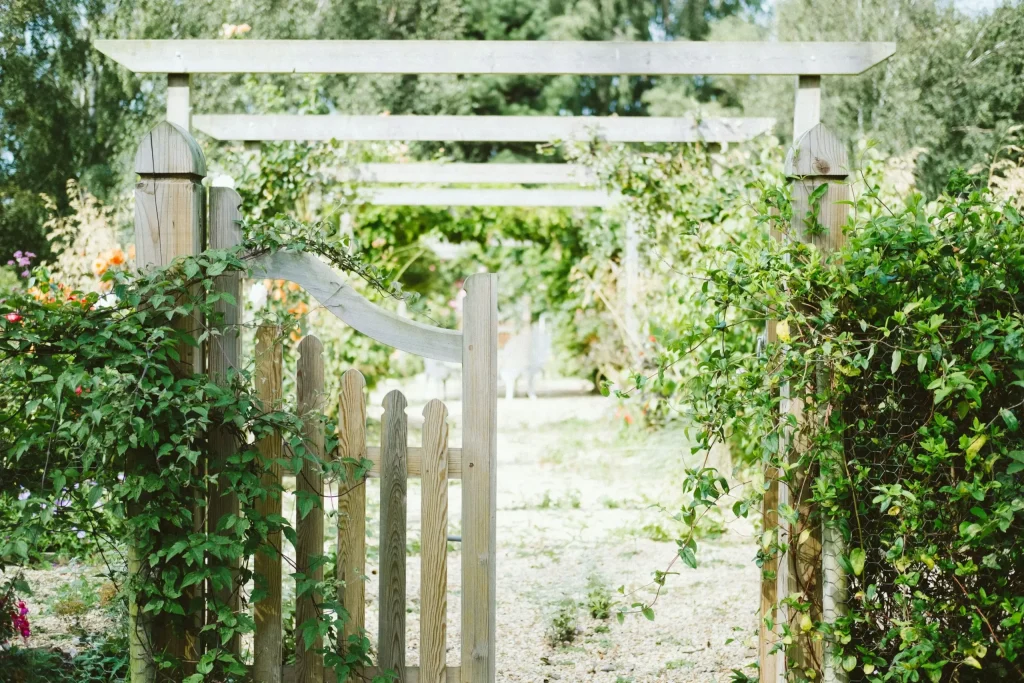 Unpainted gate and pergola